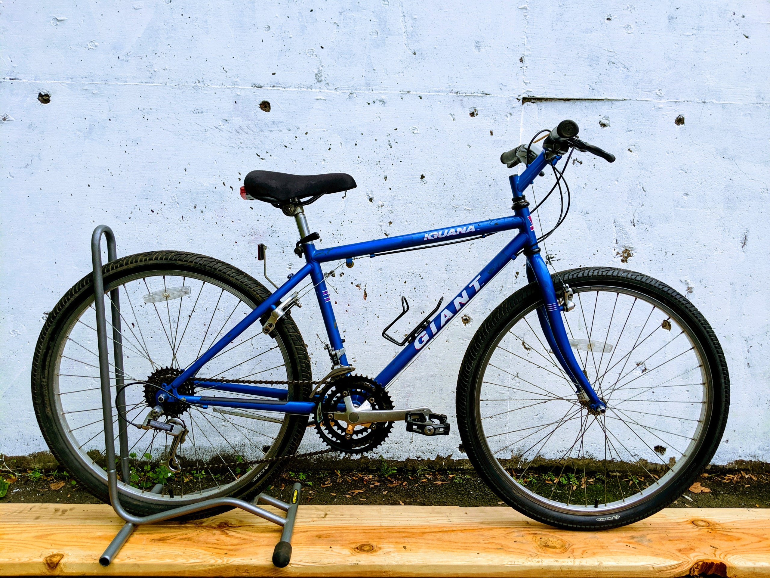 Giant Iguana | Braking Cycles Giant Iguana | Braking Cycles